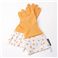 GLOVEABLES(O[ouY) EHbVOO[u 507EEyDOTzCitrus/Orange