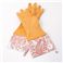 GLOVEABLES(O[ouY) EHbVOO[u 507BEyLACEzCitrus/Orange