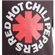 RED HOT CHILI PEPPERS ���ե������T����� ASTERISK L �̿�2
