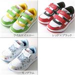 �ڥ��å�����VISION ���ץ�󥰥��ˡ����� VKR013����åɡߥ֥�å� 19cm