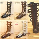 Gladiator ���󥰥ܡ��󥵥���� 990  �����ܥ꡼ L��24.0-24.5cm��
