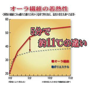 【電気代0円】オーラ蓄熱キルト【2枚組】