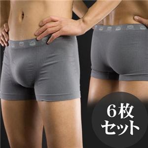 Fixight パイレーツボクサーパンツ6枚組 Lサイズ