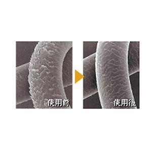 �C�[�l �R�[�������E�H�[�^�[ ���}�����g���[�g�����g