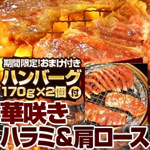 【2012年2月29日まで ハンバーグ2個おまけ付き】亀山社中 タレ漬けセット 華咲きハラミ＆華咲き肩ロース 3.9kg