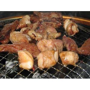 【2012年2月29日まで ハンバーグ2個おまけ付き】亀山社中 タレ漬けミックスホルモン 1.2kg