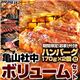 【2012年2月29日まで ハンバーグ2個おまけ付き】亀山社中 焼肉ボリュームセット 4kg