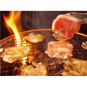 亀山社中 焼肉・BBQファミリーセット 大 3.46kg 