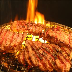 亀山社中 タレ漬け焼肉・BBQセット 華咲きハラミ＆華咲きひとくち牛モモ 3.78kg