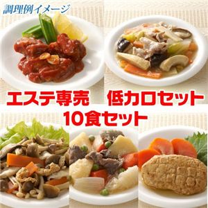 エステ専売低カロリーセット１０食セット