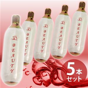 生炭酸ミストシャワー reju.pou 専用炭酸ミニガスカートリッジ 5本