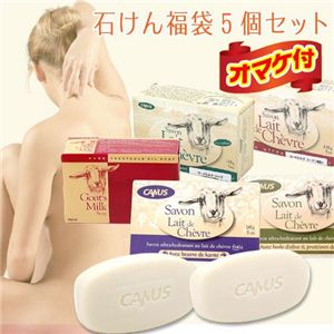 ゴートミルクソープ 【5点セット+オマケ付】