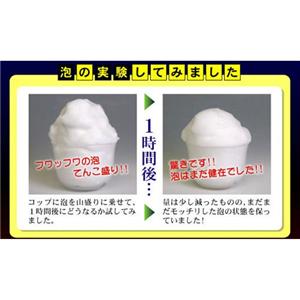 タイマンゴスチン 【2個セット】