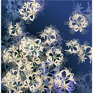 撥水風呂敷ながれ 二幅 (70cm) 【曼珠沙華】