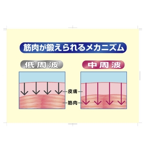 �v���\�j�G�@�X�^�C���i�rPro