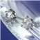 K18/0.2ct�_�C�������h�s�A�X
