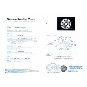 Dカラー SI2 エクセレントカット プラチナPT999 0.5ctダイヤモンドペンダント/ネックレス 鑑定書付き（中央宝石研究所）