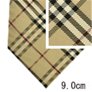 BURBERRY (バーバリー) ネクタイ N-BUR-A00126 Beige系