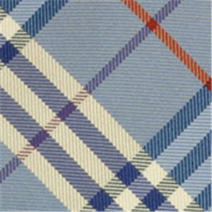 BURBERRY (バーバリー) ネクタイ N-BUR-A00137 Blue系