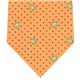 BURBERRY (バーバリー) ネクタイ N-BUR-A00167 Orange系