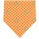 BURBERRY (バーバリー) ネクタイ N-BUR-A00167 Orange系