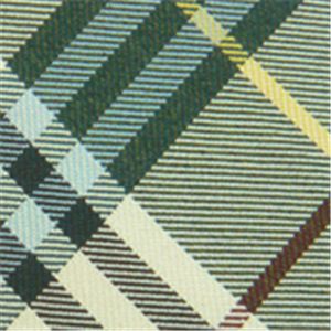 BURBERRY (バーバリー) ネクタイ N-BUR-A00198 Green系