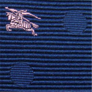 BURBERRY (バーバリー) ネクタイ N-BUR-A00207 Blue系