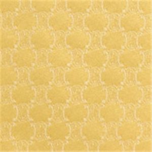 Celine (セリーヌ) ネクタイ N-CEL-A00155 Yellow系