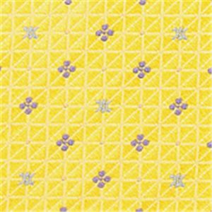 Celine (セリーヌ) ネクタイ N-CEL-A00169 Yellow系