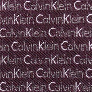 Calvin Klein （カルバンクライン） ネクタイ N-CKL-A00052 Purple系