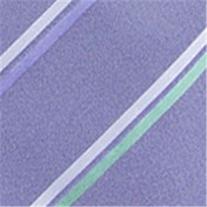 SalvatoreFerragamo (サルバトーレ・フェラガモ) ネクタイ N-FER-A00033 Blue系