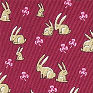 SalvatoreFerragamo (サルバトーレ・フェラガモ) ネクタイ N-FER-A00145 Purple系