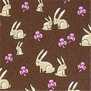 SalvatoreFerragamo (サルバトーレ・フェラガモ) ネクタイ N-FER-A00147 Brown系