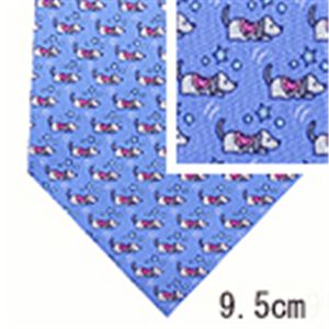 SalvatoreFerragamo (サルバトーレ・フェラガモ) ネクタイ N-FER-A00206 Blue系
