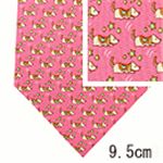 SalvatoreFerragamo (サルバトーレ・フェラガモ) ネクタイ N-FER-A00207 Pink系