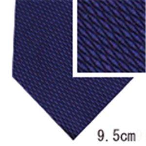 SalvatoreFerragamo (サルバトーレ・フェラガモ) ネクタイ N-FER-A00304 Blue系