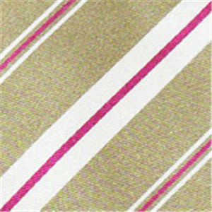SalvatoreFerragamo (サルバトーレ・フェラガモ) ネクタイ N-FER-A00312 Beige系