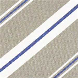 SalvatoreFerragamo (サルバトーレ・フェラガモ) ネクタイ N-FER-A00313 Gray系