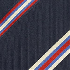 GUCCI (グッチ) ネクタイ N-GUC-A00408 Blue系