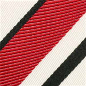GUCCI (グッチ) ネクタイ N-GUC-A00693 White系