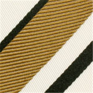 GUCCI (グッチ) ネクタイ N-GUC-A00694 White系