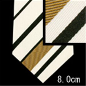 GUCCI (グッチ) ネクタイ N-GUC-A00694 White系