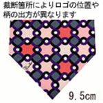 EmilioPucci（エミリオプッチ） ネクタイ N-PUC-A00046 Pink系
