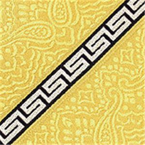 VERSACE (ヴェルサーチ) ネクタイ N-VER-A00278 Yellow系