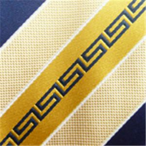 VERSACE (ヴェルサーチ) ネクタイ N-VER-A00355 Yellow系