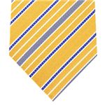 YSL (イヴサンローラン) ネクタイ N-YSL-A00133 Yellow系