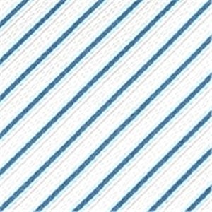 Ermenegildo Zegna (エルメネジルド ゼニア) ネクタイ N-ZEG-A00074 White系