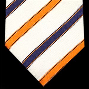 Ermenegildo Zegna (エルメネジルド ゼニア) ネクタイ N-ZEG-A00100 White系