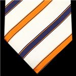 Ermenegildo Zegna (エルメネジルド ゼニア) ネクタイ N-ZEG-A00100 White系