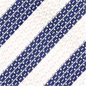 Ermenegildo Zegna (エルメネジルド ゼニア) ネクタイ N-ZEG-A00107 White系